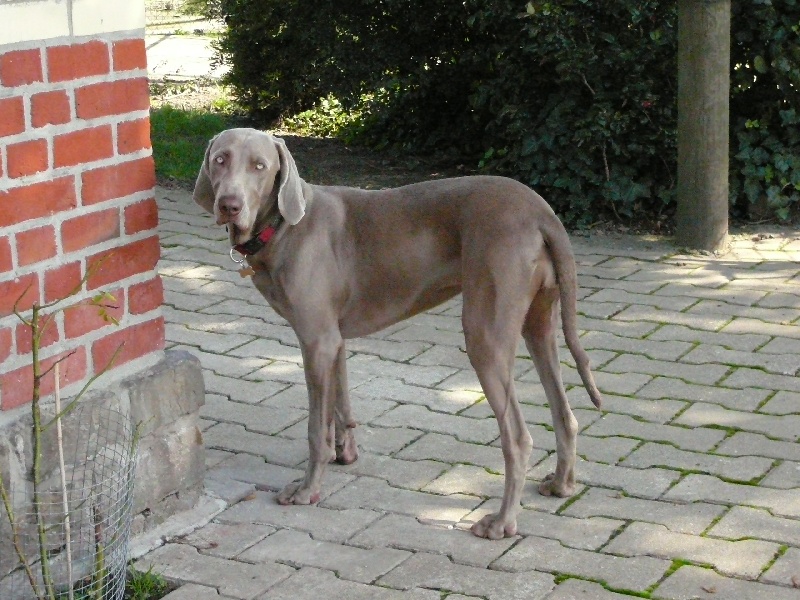 Illy (Sans Affixe)